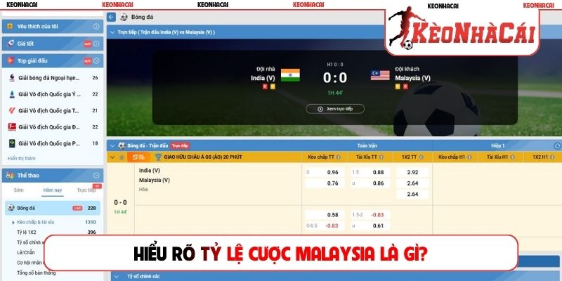 Hiểu rõ tỷ lệ cược Malaysia là gì?